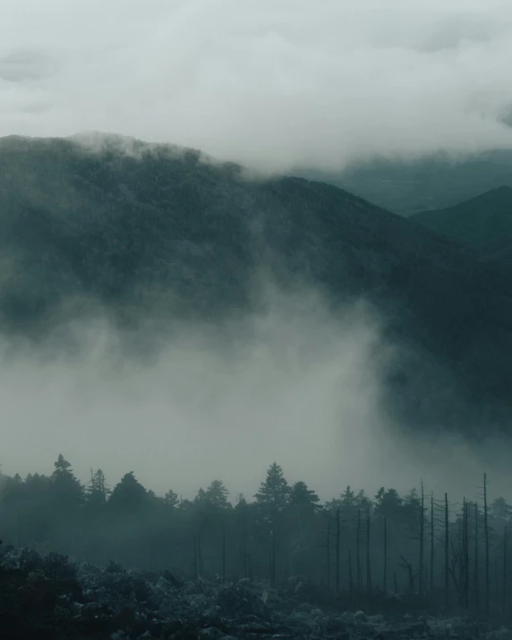 a black and white photo of a foggy mountain, inspired by Elsa Bleda, pexels contest winner, green smoggy sky, black forest, gloomy colors, over the tree tops