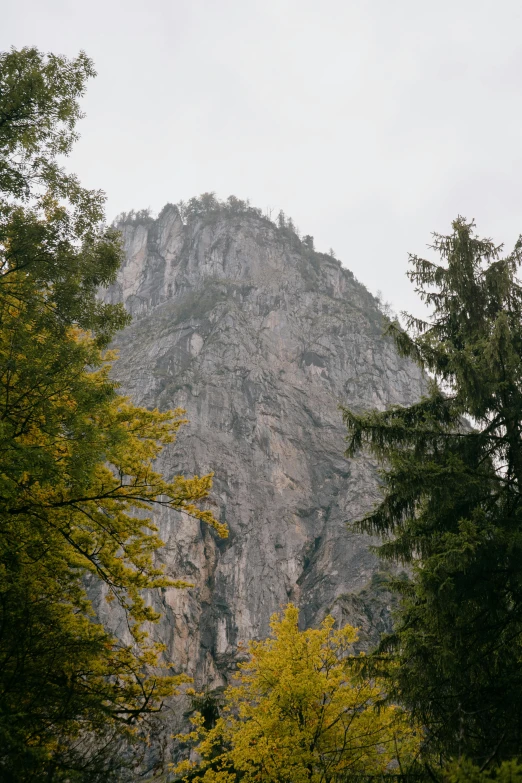 a mountain in the distance with trees in the foreground, steep cliffs, stacked image, fall, grey