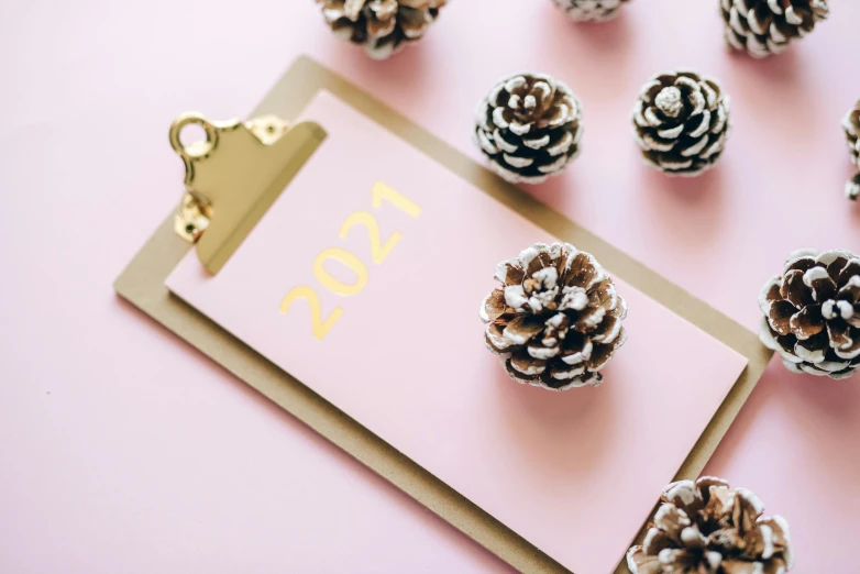 a bunch of pine cones sitting on top of a clipboard, by Julia Pishtar, trending on pexels, aestheticism, pink and gold color scheme, new years eve, 2 0 2 2 photo, tabletop game board