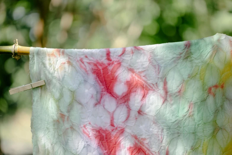 a white and red tie dye on a clothes line, by Helen Stevenson, process art, green and pink fabric, shed iridescent snakeskin, high angle close up shot, botanicals