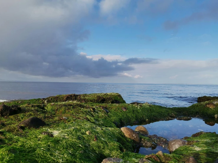 a body of water sitting on top of a rocky beach, a picture, green moss, at the sea, skies behind, quixel megascans