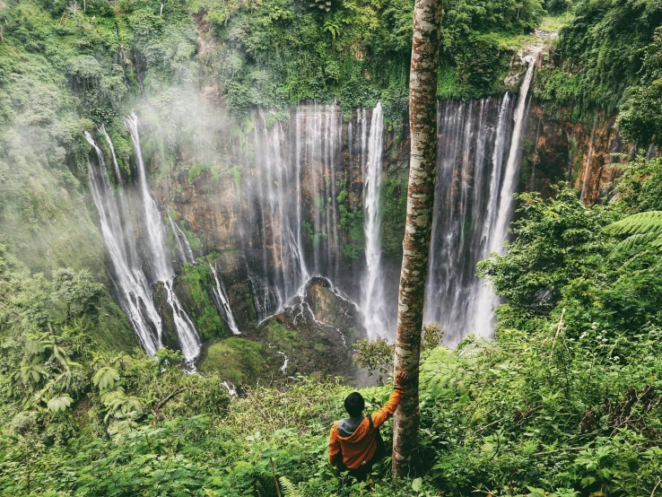 a man standing in front of a waterfall, pexels contest winner, sumatraism, with a tall tree, view from above, national geograph, madagascar