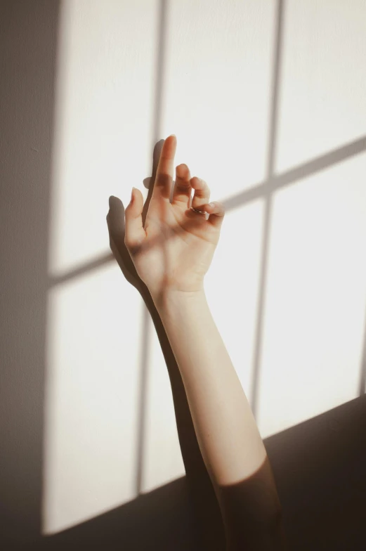 a person's hand reaching out of a window, inspired by Elsa Bleda, trending on pexels, light and space, translucent skin, clemens ascher, soft backlight, ilustration