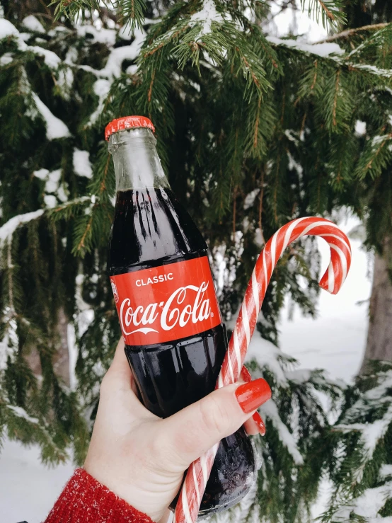 a person holding a bottle of coca cola next to a candy cane, pexels contest winner, 👰 🏇 ❌ 🍃, heavy winter aesthetics, profile image, anna nikonova