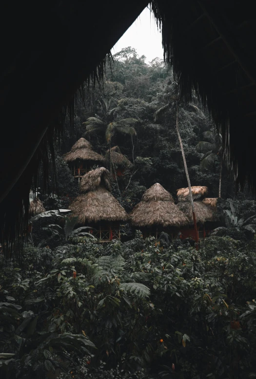 a group of huts sitting on top of a lush green forest, inspired by Elsa Bleda, pexels contest winner, dark jungle, rain aesthetic, mayan style, brown