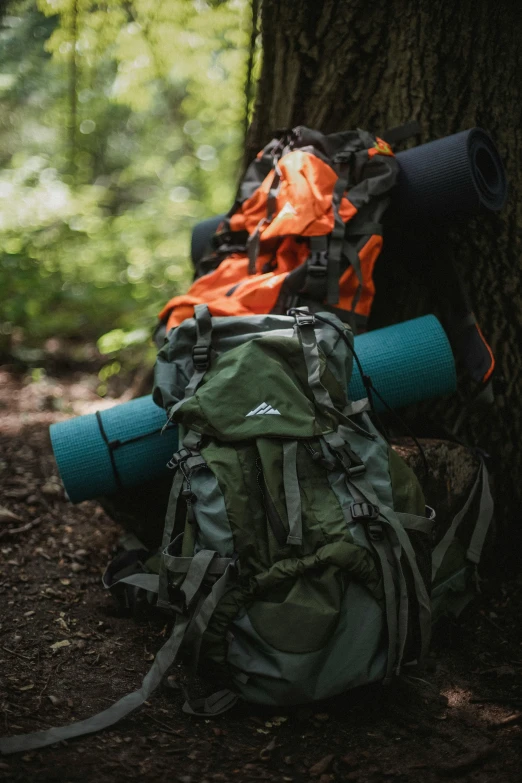 a couple of backpacks sitting next to a tree, forest green, thumbnail, exploration, hunting