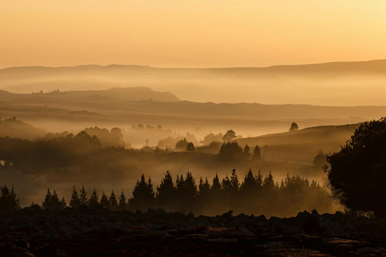 a view of a foggy valley with trees in the foreground, by Peter Churcher, pexels contest winner, sunset golden hour hues, moorland, manuka, brown