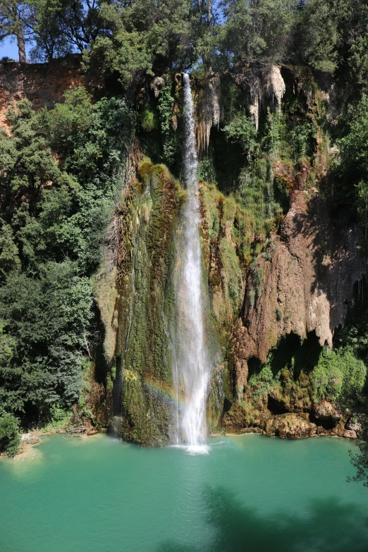 a waterfall in the middle of a lush green forest, les nabis, brilliantly colored, it's very huge, lake view