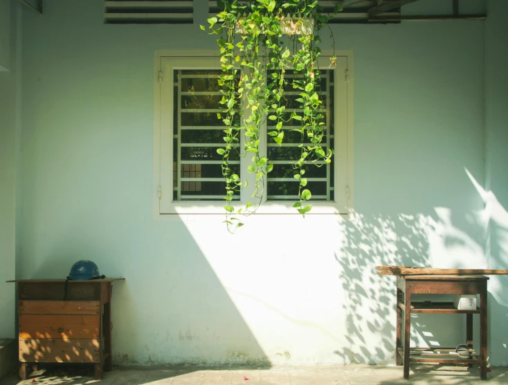 a wooden table sitting in front of a window, inspired by Elsa Bleda, unsplash contest winner, light and space, vietnam, school courtyard, green wall, snapchat photo