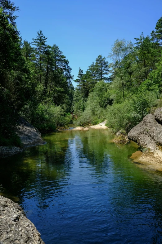 a river running through a lush green forest, les nabis, lourmarin, slide show, high quality picture, drinking