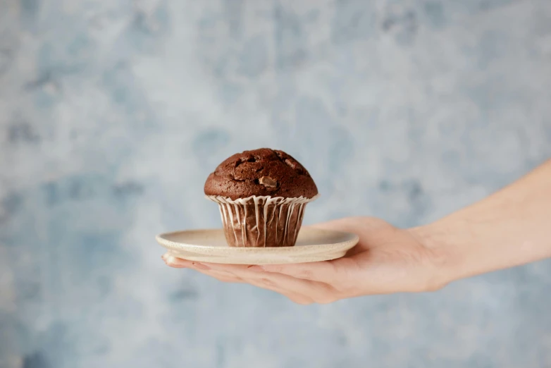 a person holding a plate with a cupcake on it, unsplash, photorealism, fully chocolate, 3/4 front view, handcrafted, bun )