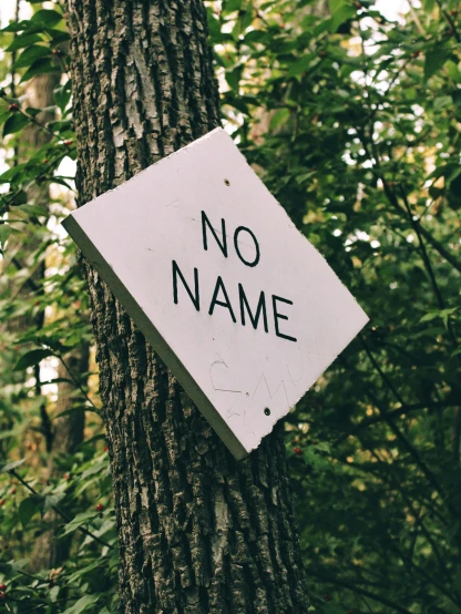 a no name sign on a tree in the woods, unsplash, ((trees)), '0 0 s nostalgia, no buildings, non-binary