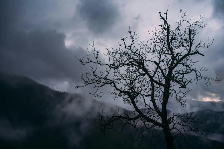 a lone tree is silhouetted against a cloudy sky, inspired by Elsa Bleda, pexels contest winner, baroque, dark mountains, overhanging branches, an eerie, a mysterious