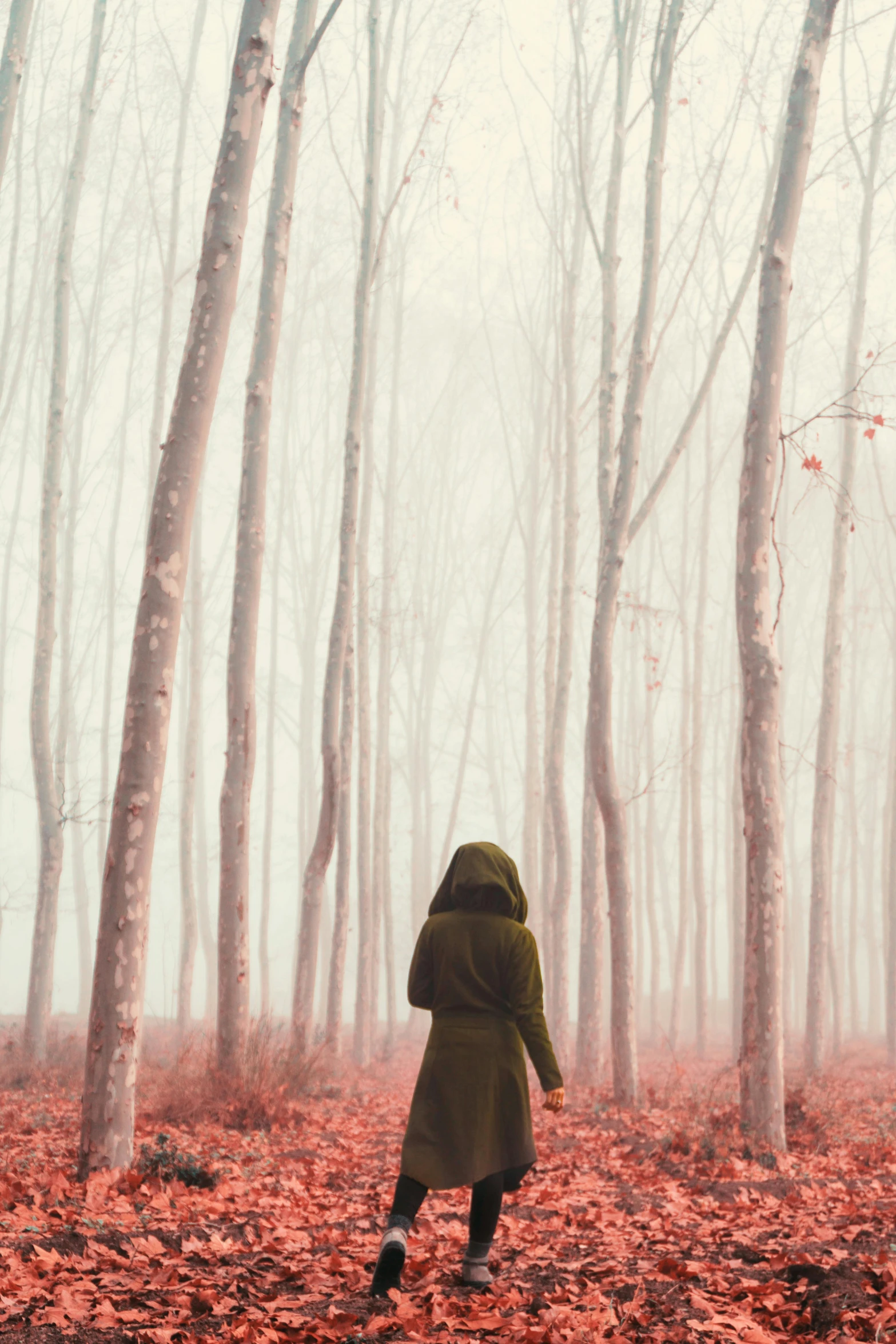 a person standing in the middle of a forest, inspired by Oleg Oprisco, unsplash contest winner, red hoods, todd hido, ilustration, photograph ”