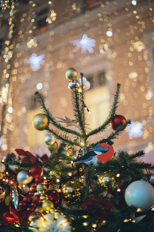 a decorated christmas tree in front of a building, pexels contest winner, bird, square, low detail, warmly lit