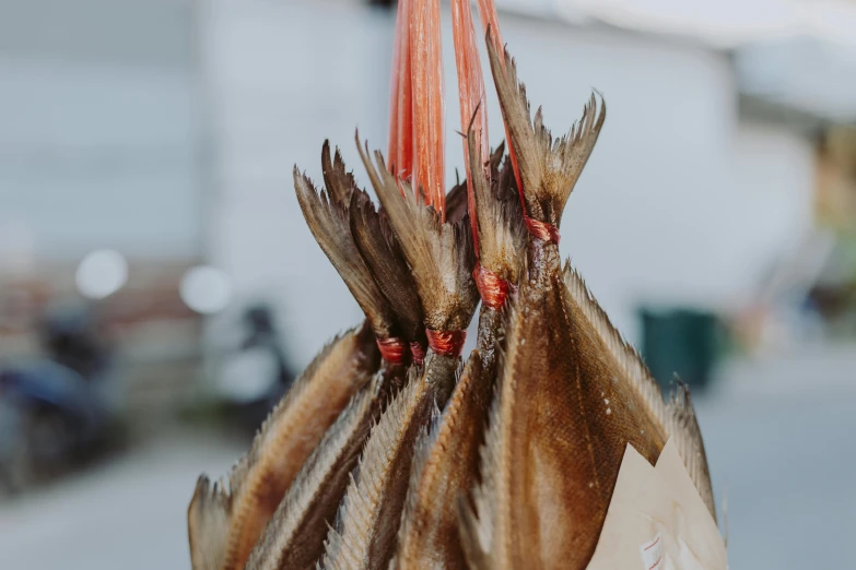 a bunch of fish hanging from a string, an album cover, unsplash, brown, fish seafood markets, kete butcher, exterior shot