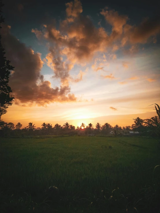 a green field with a sunset in the background, bali, album art, unsplash photography, multiple stories