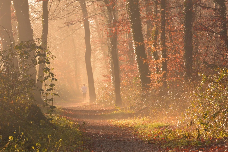 a person walking down a path in the woods, by Eglon van der Neer, pexels contest winner, romanticism, autumn sunrise warm light, northern france, running, light orange mist