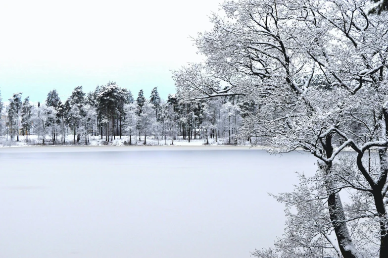 a large body of water surrounded by snow covered trees, a photo, inspired by Eero Järnefelt, hurufiyya, v - ray collection, ad image, ultra detailed trees, today\'s featured photograph 4k