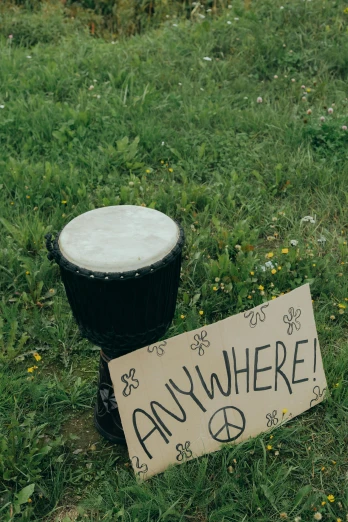 a sign sitting in the grass next to a trash can, an album cover, unsplash, protest, bongos, peace, pot