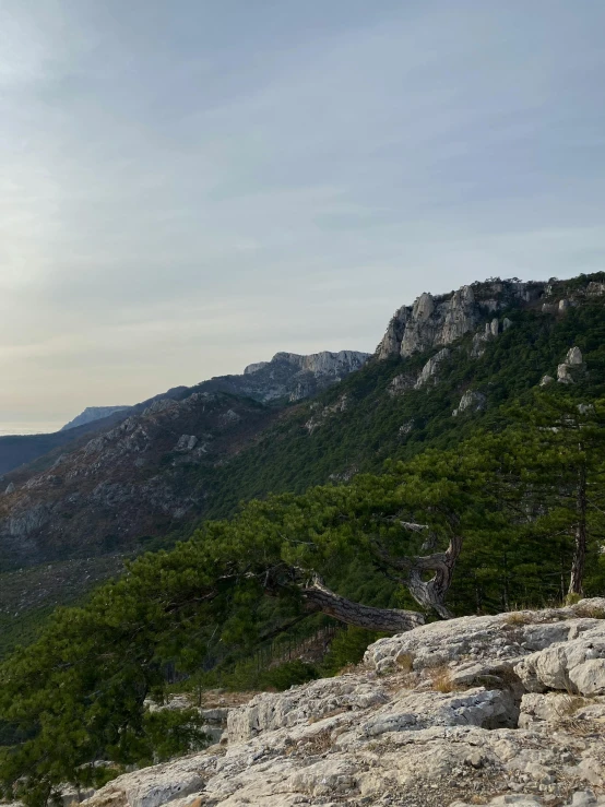 a couple of people standing on top of a mountain, les nabis, detailed trees and cliffs, slide show, gigapixel photo