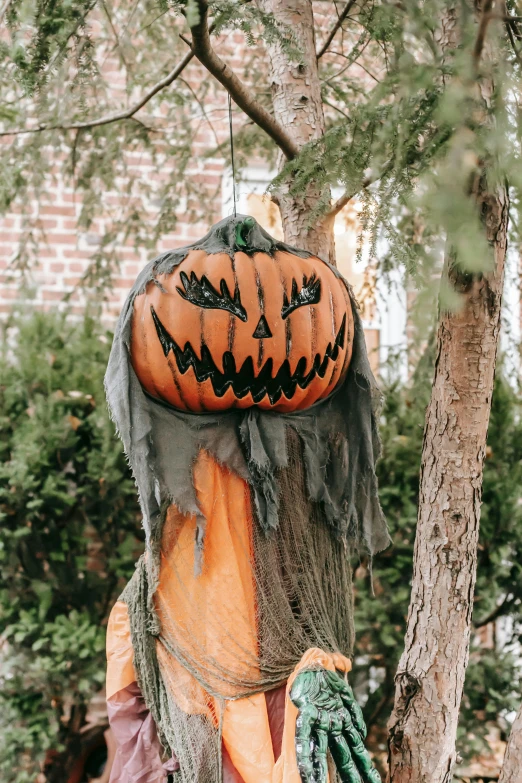 a scare head hanging from a tree in a yard, profile image, pumpkin, #trending, instagram post