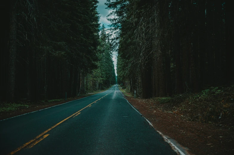 a road in the middle of a forest, in front of a forest background, teal aesthetic, touring, carson ellis