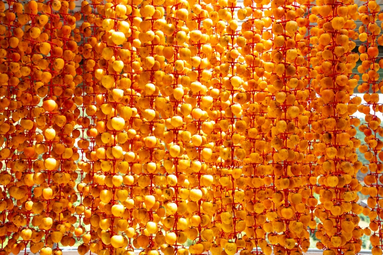 a bunch of oranges hanging from a wire, by Dietmar Damerau, flickr, conceptual art, beaded curtains, chinese temple, gold skulls, 64x64