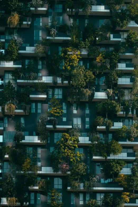 a tall building with lots of plants growing on the balconies, inspired by Elsa Bleda, pexels contest winner, modernism, floating trees, suburb, detailed 4k photograph, ((trees))