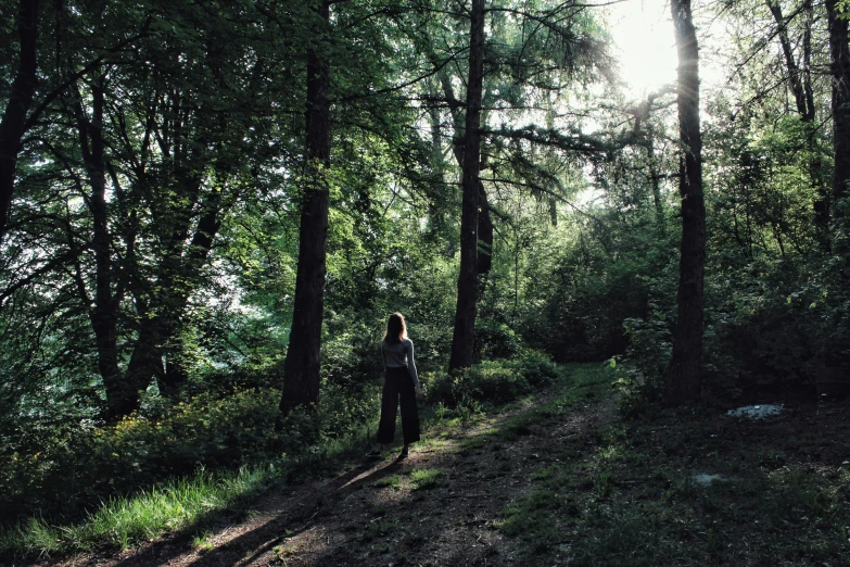 a person standing in the middle of a forest, summer evening, press shot, rambling, woodland setting