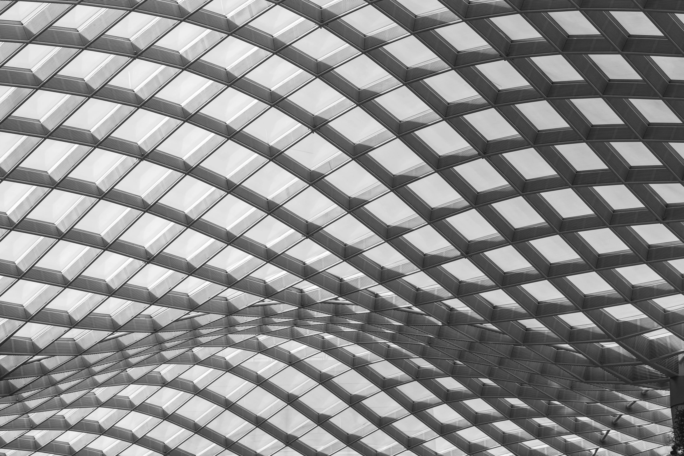 a black and white photo of the inside of a building, by Zha Shibiao, pexels, op art, roof background, scaly, lattice, brightly lit