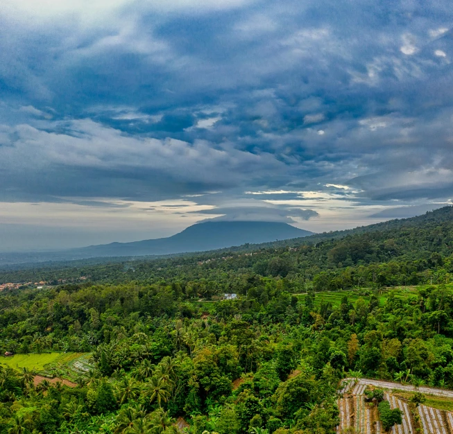 a view of a lush green valley with a mountain in the distance, by Daren Bader, pexels contest winner, sumatraism, background image, roofed forest, panorama view of the sky, at borobudur