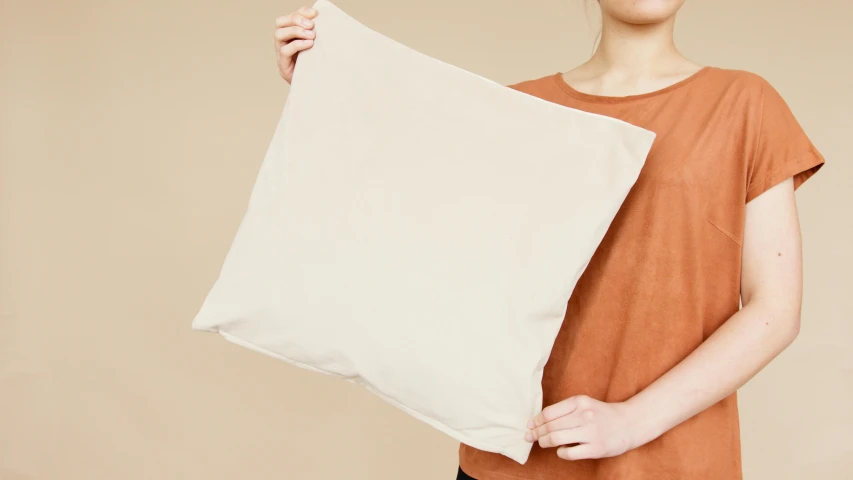 a woman holding a pillow in front of her face, minimalism, beige, product view, small, flat
