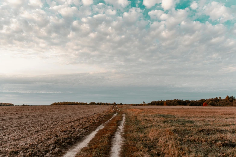 a dirt road in the middle of a field, pexels contest winner, land art, altostratus clouds, slightly turned to the right, brown, today\'s featured photograph 4k