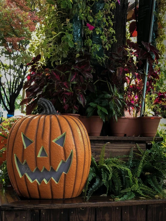 a pumpkin sitting on top of a wooden table, lush plants and lanterns, profile image