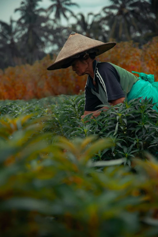 a woman laying on top of a lush green field, sumatraism, densely packed buds of weed, carrying a tray, avatar image, mining