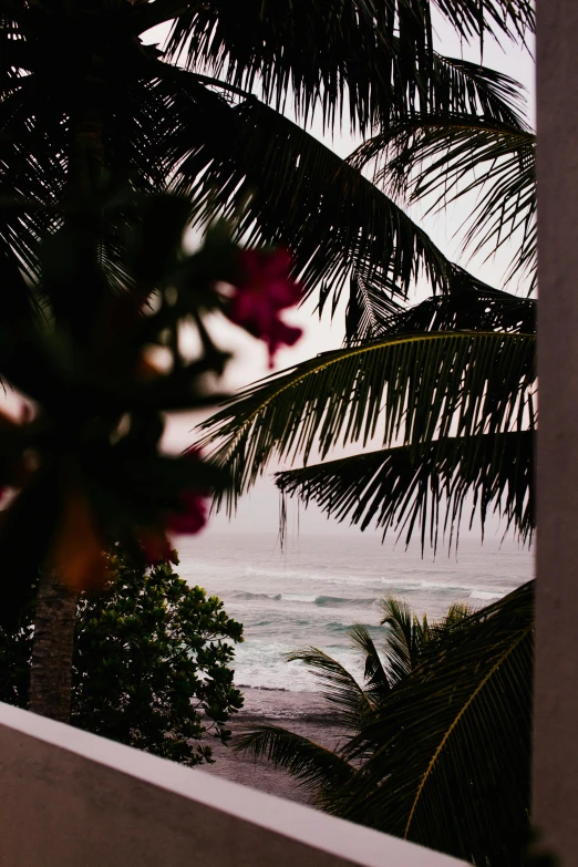 a view of the ocean from a balcony, by Carey Morris, sri lanka, moody details, tropical flowers, surf photography