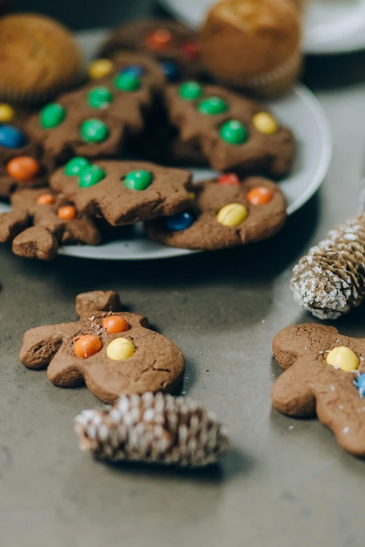 a close up of a plate of cookies on a table, inspired by Rudolph F. Ingerle, pexels contest winner, sprinkles, brown body, multicolored, brown haired