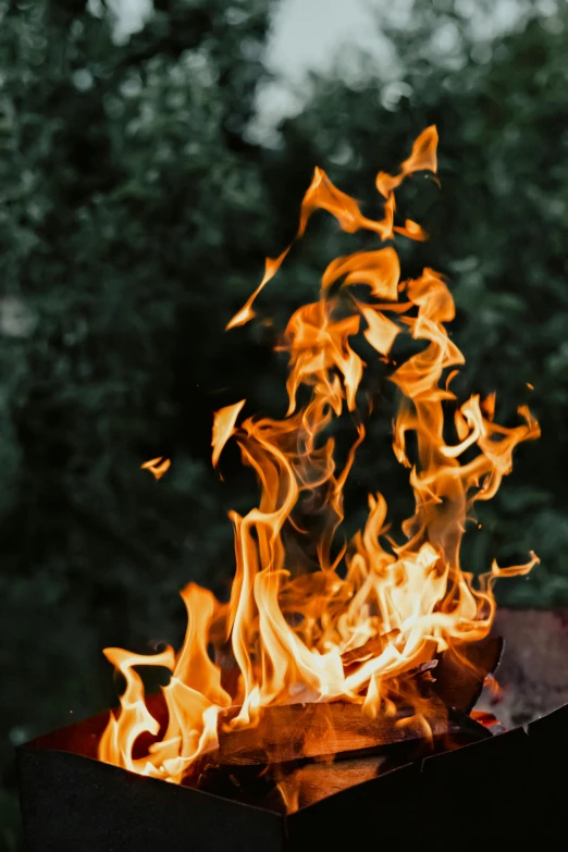 a close up of a fire on a grill, by Jan Rustem, trending on unsplash, renaissance, burning trees, hair made of fire, paul barson, al fresco