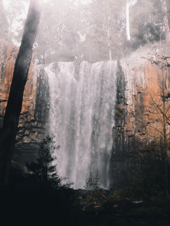 a waterfall in the middle of a forest, a picture, inspired by Elsa Bleda, unsplash contest winner, dripping wet, a massive cathedral in a forrest, wall of water either side, low quality photo