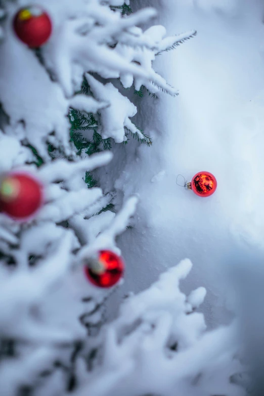 a person riding a snowboard down a snow covered slope, christmas tree, ornaments, upclose, paul barson