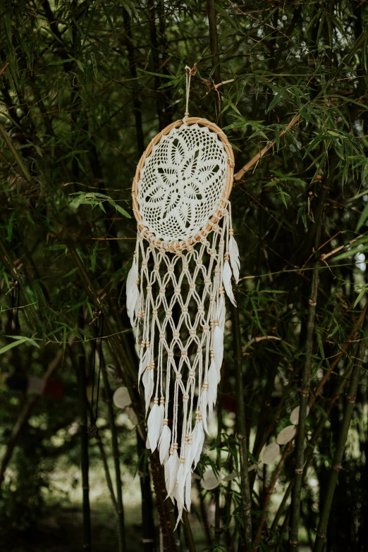 a white dream catcher hanging from a tree, tan