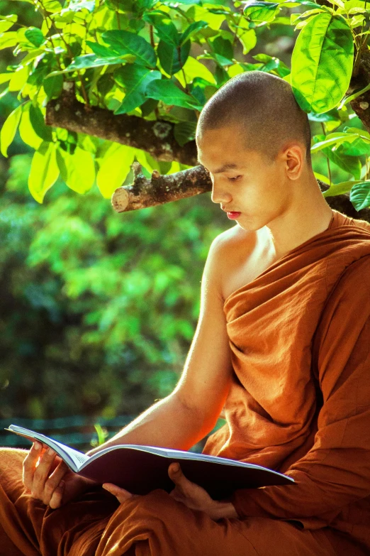 a monk reading a book under a tree, an album cover, inspired by Steve McCurry, unsplash, academic art, thai, a handsome, bright sunny day, brown