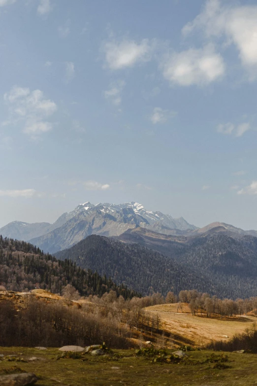 a herd of cattle grazing on top of a lush green field, by Muggur, les nabis, distant rocky mountains, snow capped mountains, panoramic photography, view(full body + zoomed out)