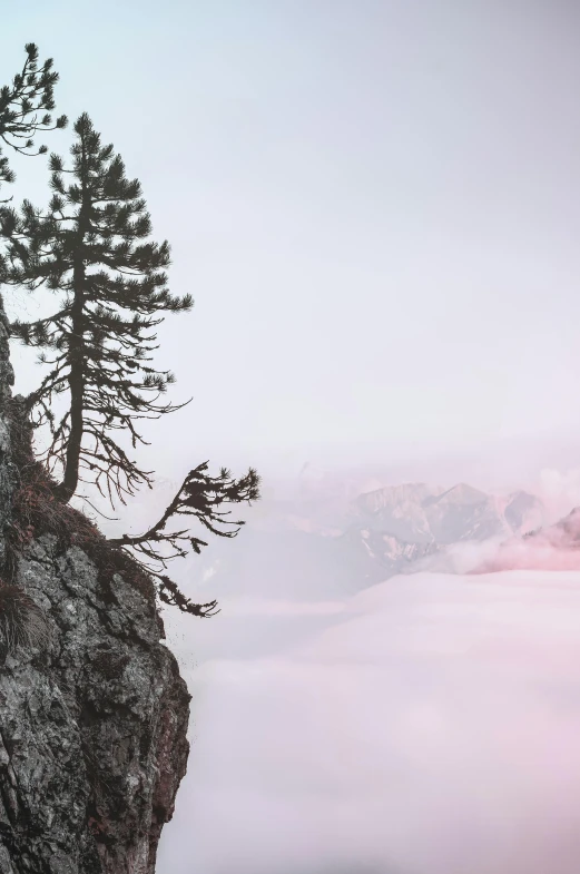 a man standing on top of a mountain next to a tree, inspired by Kim Keever, pexels contest winner, romanticism, faded pink, 4 k cinematic panoramic view, mountain snow, looking left