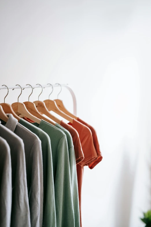 a row of clothes hanging on a clothes rack, a colorized photo, trending on unsplash, minimalism, wearing a light shirt, green and brown clothes, programming, gray and orange colours