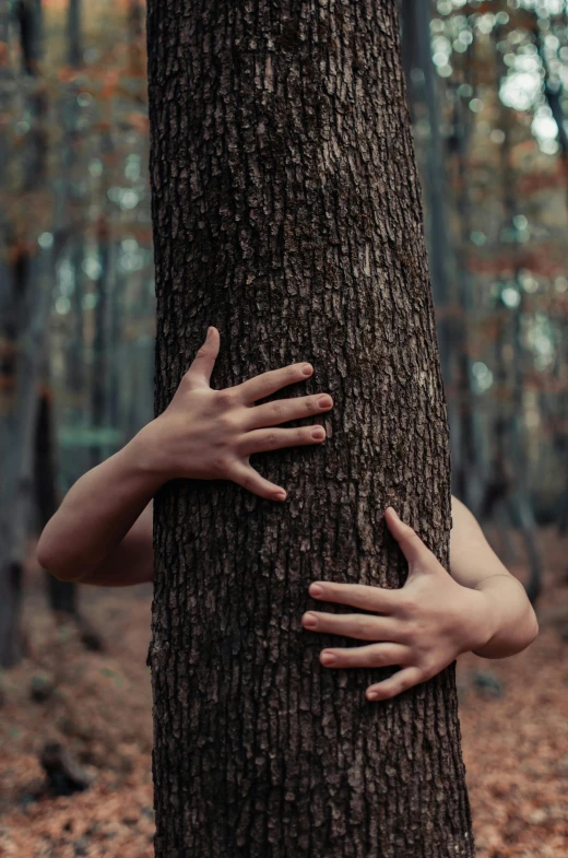 a person hugging a tree in the woods, inspired by Elsa Bleda, pexels contest winner, naturalism, human arms, sustainable materials, flora borsi, ((trees))