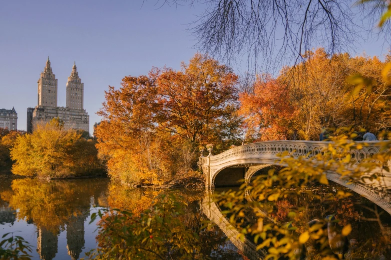 a bridge over a body of water surrounded by trees, unsplash contest winner, hudson river school, city buildings on top of trees, autumnal, metropolitan museum photo, screensaver