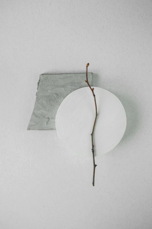 a white plate with a branch sticking out of it, an abstract sculpture, inspired by jeonseok lee, unsplash, muted color. minimalist, slate, round format, half image