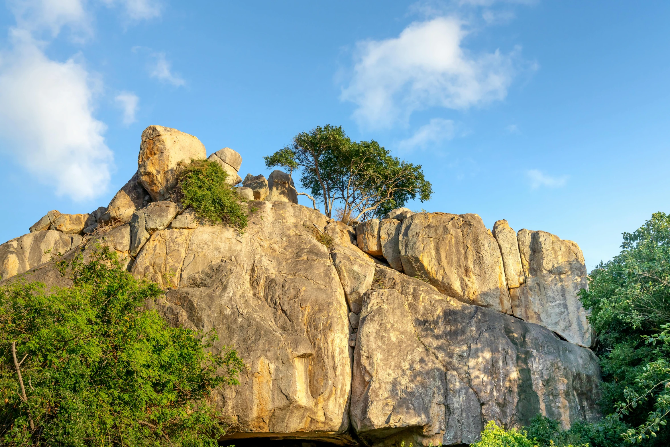 a group of elephants standing on top of a lush green field, by Peter Churcher, unsplash, mingei, rock climbers climbing a rock, panorama, granite, beautiful late afternoon